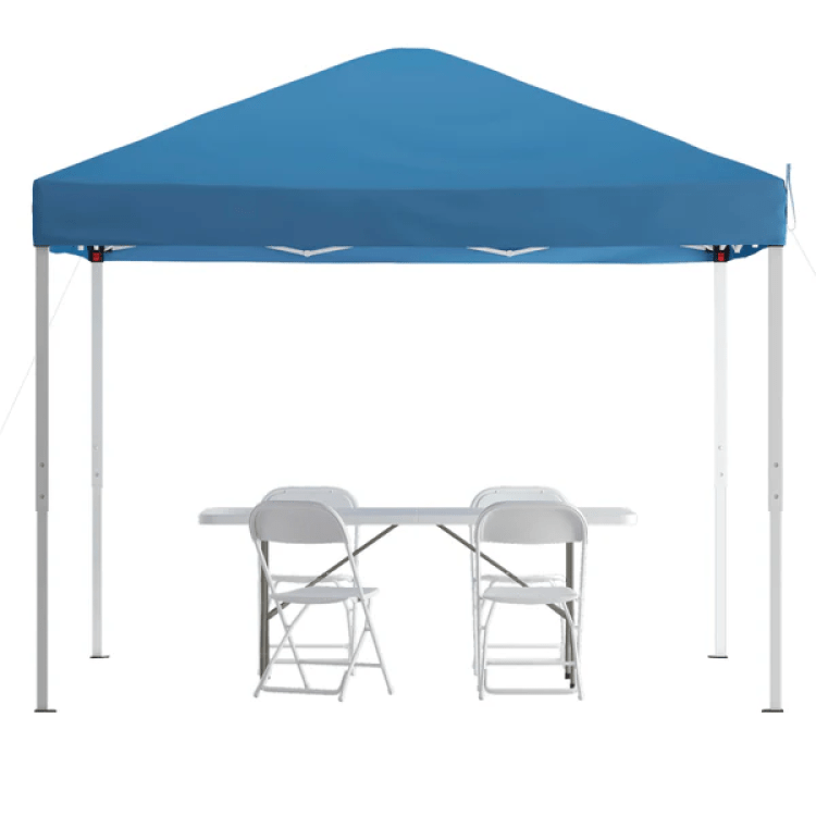 10x10 Canopy $20